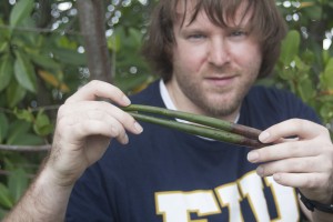 Nicholas Ogle will replant the mangrove propagules collected by MAST students.