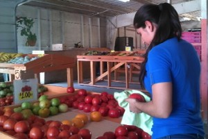 Mayra used to work on her father's farm when she couldn't afford to be a college student. Now that she attends Miami-Dade College, she still offers to lend a hand at the fruit stand her father manages.