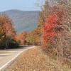 talimena_drive The Talimena National Scenic Drive (pictured above) starts at Talimena State Park and extends 54 miles into Arkansas.