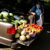 Farm Truck