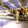 Boeing Plant in Wichita, Kans. A worker sands the top of a plane at Boeing's plant in Wichita, Kan.
