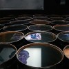 Oil Reflection