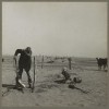 A Cimarron County farmer works to raise a fence to keep it from being buried under drifting sand. Oklahoma's Dust Bowl exodus fueled voter support of Oklahoma governor E.W. Marland's and his campaign motto, "Bring the New Deal to Oklahoma," in 1934.