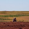 Parched Ground