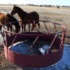 Horses and a Seismograph Horses nuzzle near a seismometer deployed in a pasture near an earthquake epicenter in Sparks, Okla. A 5.6-magnitude earthquake shook near here in November 2011, the state's largest earthquake in a century.