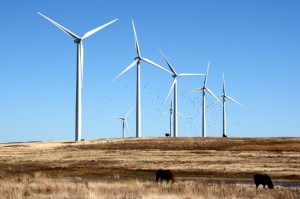 A wind farm near Weatherford, Okla. 
