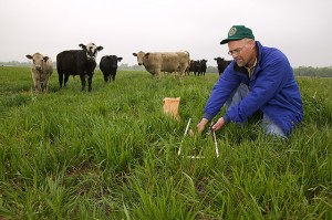 In an experimental pasture at the Grazinglands Research Laboratory near El Reno, Oklahoma, ecologist Brian Northup collects samples to describe availability and quality of forage.