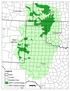 The current and historical range of the Lesser Prairie Chicken.