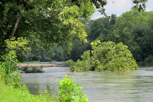 The Illinois River flows around a recently fallen tree near one of the waterway's public access points. 