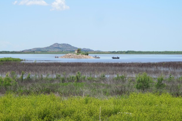 Rising water levels inundate vegetation that was growing on the exposed lakebed at Tom Steed Lake near Altus, Okla.