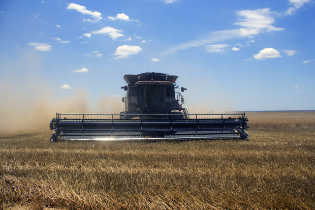 A combine crew from South Dakota harvests wheat near Altus in southwest Oklahoma.