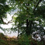 View of the Delaware River from Bucks County, Pa.