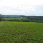 Picture 031