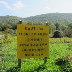 A sign posted in Susquehannock state forest, which makes up part of the most "climate resilient" land on the East Coast..