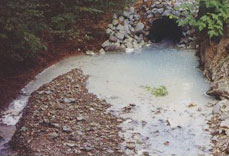 Acid mine drainage often turns a stream orange and smothers all aquatic life. In this case, aluminum has turned the stream lifeless.