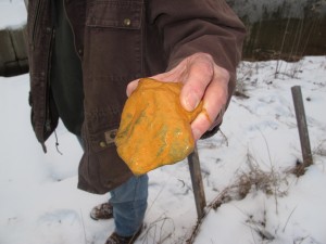 A rock pulled from the bottom of a creek in Tioga County is covered in orange slime, resulting from iron sulfide in mine water drainage.