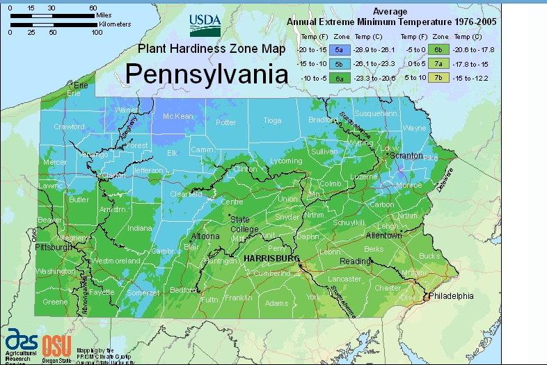 Screen shot 20130422 at 3.39.32 PM StateImpact Pennsylvania