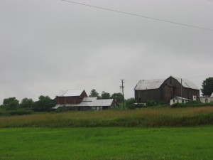 A farm in Wayne County sits on top of the Marcellus Shale formation. Drilling has not begun in the area of the state that drains into the Delaware River.