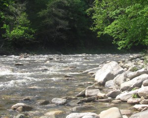 Loyalsock Creek in Sullivan County.