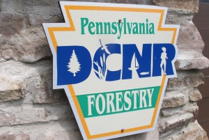 The state Department of Conservation and Natural Resources says it will release drilling plans for the Loyalsock State Forest and take public comments on them for 15 days.