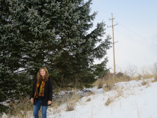 The new route of the PennEast pipeline would cross Angele Switzler's farm in Delaware Township, New Jersey. The company wants to site the pipeline along the power lines that border her property.