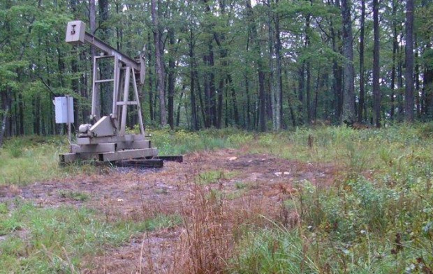 Dead vegetation around a conventional well indicating a possible brine spill.