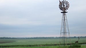 Crawford Farm