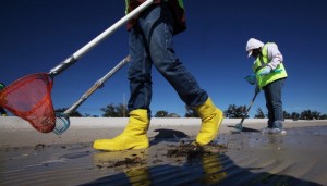 Workers clean tarballs from the BP oil spill on Waveland beach December 6, 2010 in Waveland, Mississippi. 