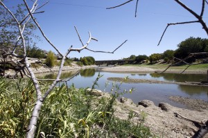 The dried south fork of Lake Arlington is seen near Bowman Springs Park, when the water level was nine feet below normal, in Arlington, Texas August 5, 2011.