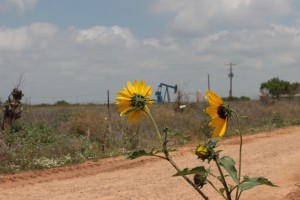 Oil well in Frio County 