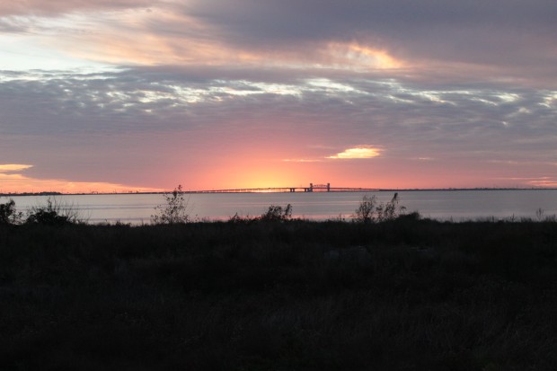 Environmentalist want BP money to go to restore shoreline and wetlands in coastal areas including Galveston Bay 
