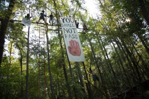 Activists took to the trees to try to stop the Keystone XL Pipeline in East Texas.