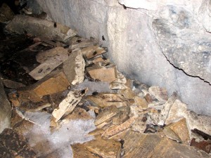 Dead bats litter the floor of a cave in Vermont.