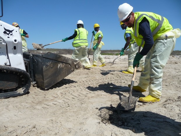 Workers scraped oil-drenched sand from the beaches of Matagorda Island.