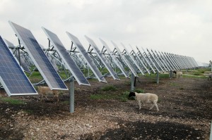The program is a test project that, if goes well, could be put into place at OCI's other solar farm in San Antonio.