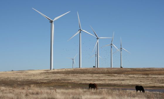 Kingfisher Wind Farm | StateImpact Oklahoma