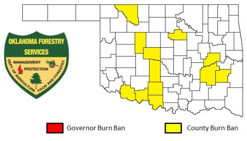 burn-bans-in-effect-for-some-counties-townships-in-mid-michigan-weyi