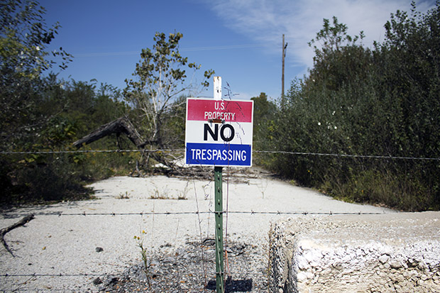 Letter: Stoney Creek 'too polluted' for wildlife, says teen streamkeeper -  Tri-City News