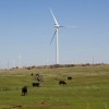 The Blue Canyon Wind Farm near Carnegie, Okla.