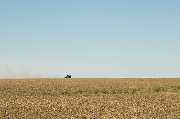 A combine harvesting a wheat field south of Altus, Okla.