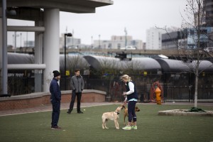 In this photo taken April 9, 2015, people play with their dogs in view of train tank cars with placards indicating petroleum crude oil standing idle on the tracks, in Philadelphia. 