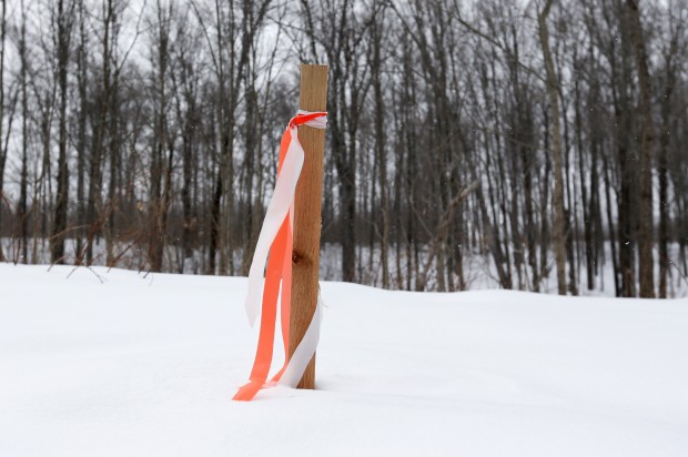 In this Thursday, Feb. 26 photo, a ribbon tied to a stake on Kernan family property marks the proposed path of the Constitution Pipeline in Harpersfield, N.Y. The developer of a 124-mile-long pipeline to bring Marcellus Shale gas from Pennsylvania to New York City and New England is using both carrot and stick to achieve its goals.