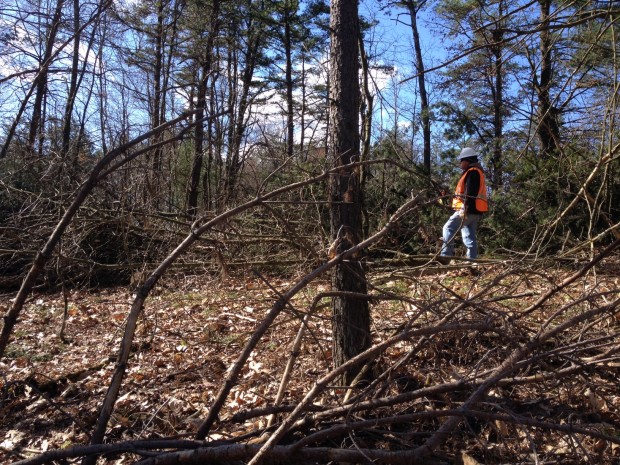 A tree clearing crew member from Sunoco on the Gerhart's property last week. Most of the trees were cleared last week but crews returned on Thursday to cut the remaining trees that were left untouched due to protesters occupying them.