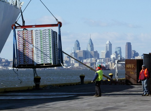 Longshoreman unload fruit from a container ship, Friday, Feb. 24, 2006, at the Tioga Marine Terminal in Philadelphia.  
