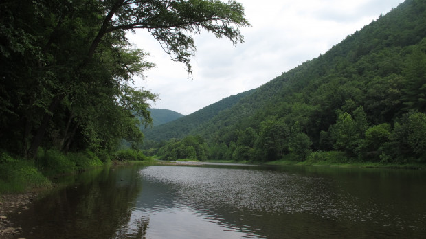 A view of the Pine Creek in Lycoming County.
