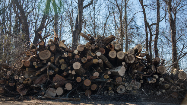 The Mariner East 2 pipeline has officially broken ground in the Delaware County town of Aston. The beginning stages of the pipeline includes clear cutting trees and preparing 