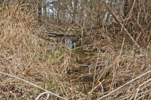 Massey Run in Chester County is an intermittent stream, meaning it does not flow all year round, but when it does, it runs into Crum Creek. Here it is at the end of February. 