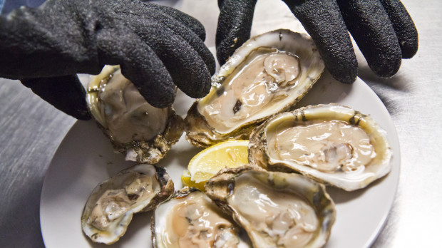 The Delaware Bay was once known as the capital oyster of the world. In the 1920s, there were about 600 boats fishing wild oysters from the bay. 