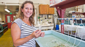 Daphne Munroe is the associate professor of the Rutgers' Haskin Shellfish Research Laboratory. 