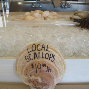 Scallops for sale at the Fisherman's Coop in Point Pleasant, NJ. Scientists say even small oil leaks, or chemical spills from offshore drilling could impact the fishery.